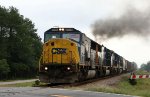 CSX 8725 leads a train southbound (compass west)